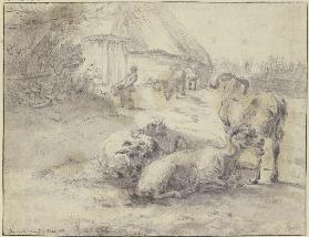 Gruppe von vier Schafen, im Hintergrund eine Hütte, dabei ein Mann, der einen Zuber trägt