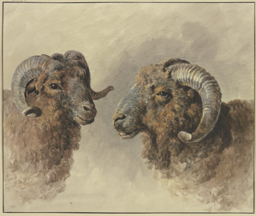 Two sheep à Jacob van Strij
