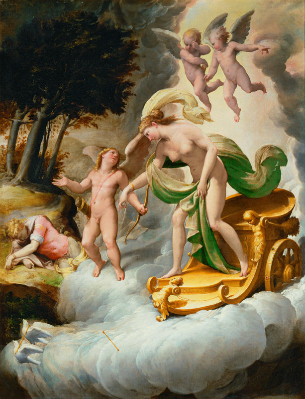 Venus Led by Cupid to Dead Adonis à Jacopo Bertoia