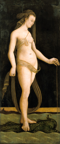 Galatée, debout sur un Delphin. à Jacopo de Barbari