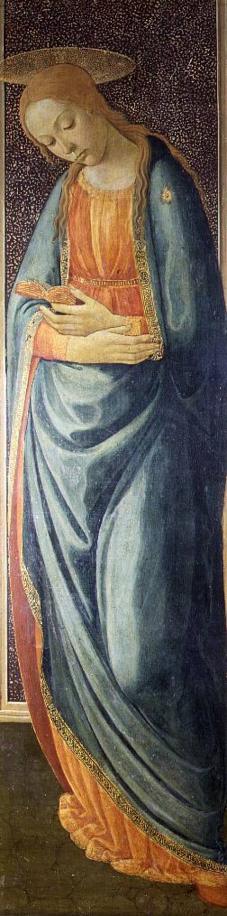 Virgin Mary à Jacopo del Sellaio