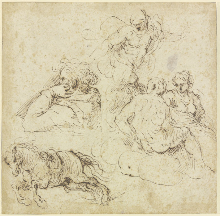 Study sheet with galloping horse, a woman in profile looking left, a group of figures on clouds and  à Jacopo Palma le Jeune (Palma il Giovane)