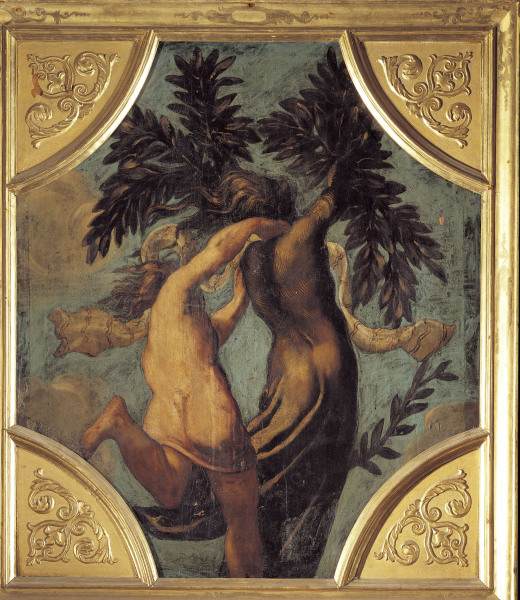 Tintoretto / Apollo and Daphne à Jacopo Robusti Tintoretto