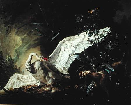 A Water Spaniel Attacking a Swan on its Nest à Jacques Charles Oudry