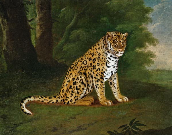 A Leopard in a landscape à Jacques-Laurent Agasse