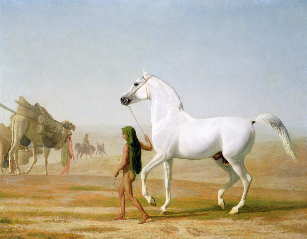 The Wellesley Grey Arabian Led through the Desert à Jacques-Laurent Agasse