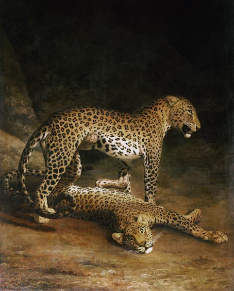 Two Leopards Lying In The Exeter Exchange à Jacques-Laurent Agasse