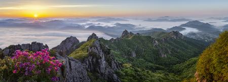 Flowering mountains of May