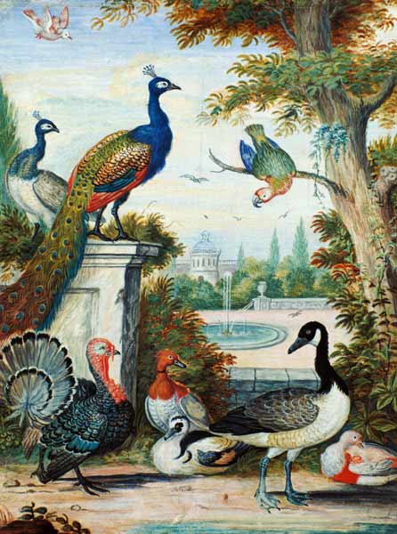 Exotic Birds and Domestic Fowl in a Picturesque Park à Jakab Bogdány