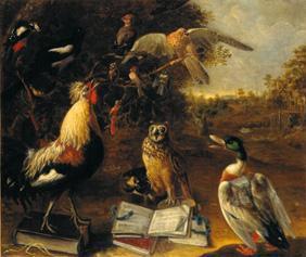 Concert des oiseaux.