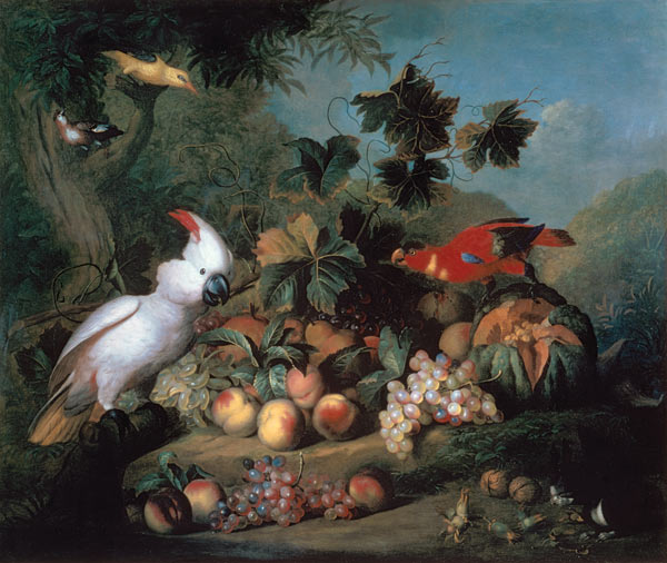Fruit and Birds à Jakob Bogdani ou Bogdany