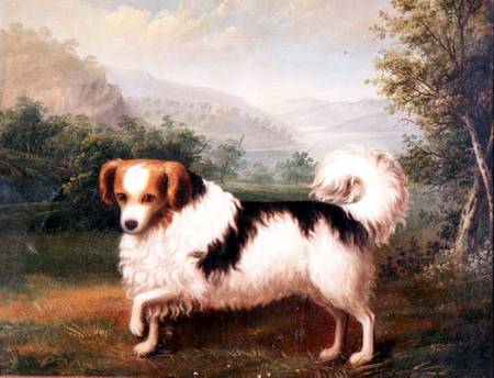 A Phallene Papillon in a Highland Landscape à James Barenger