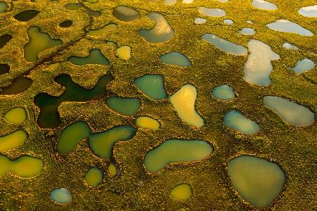 Aerial Abstract of Small Lakes