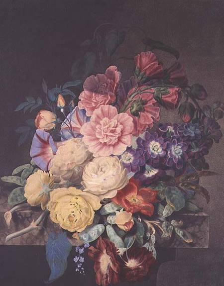 Hollyhocks and roses à James Hewlett