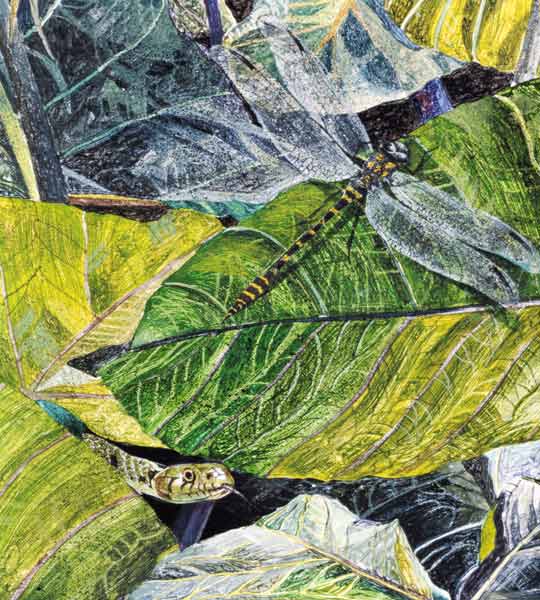 Water Snake and Dragon-fly, 1971 (oil on canvas) (detail of 240814)  à  James  Reeve