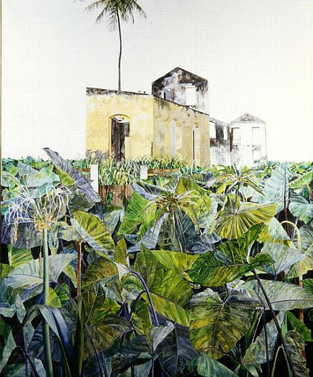 Ruin in a Swamp, Haiti, 1971 (oil on canvas)  à  James  Reeve