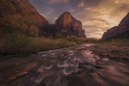 Zion Sunset