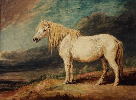 Shetland Pony à James Ward
