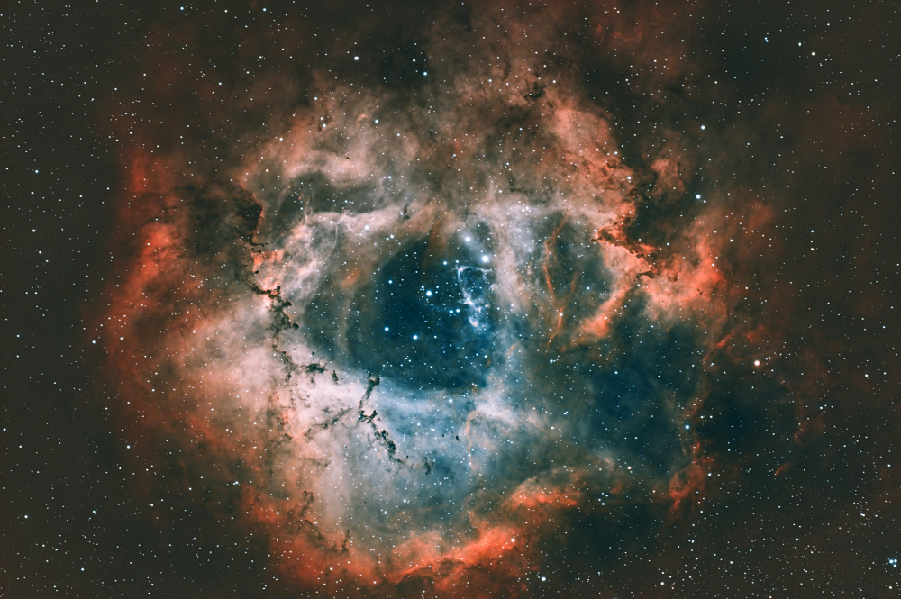 Rosette Nebula à James Zhen Yu
