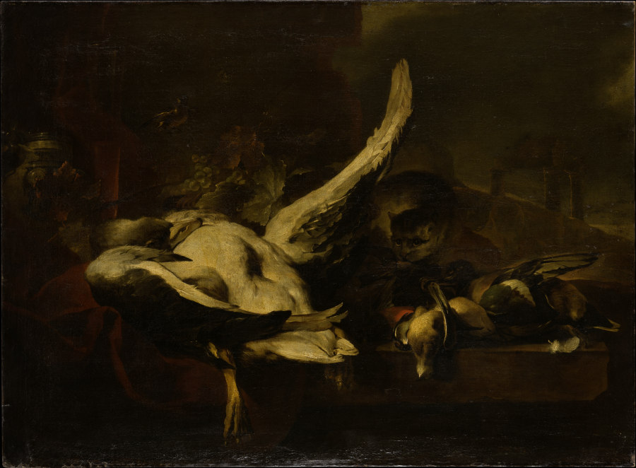 Dead Fowl Being Eaten by a Cat à Jan Baptist Weenix