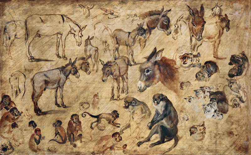 Animal Study à Jan Brueghel l'Ancien