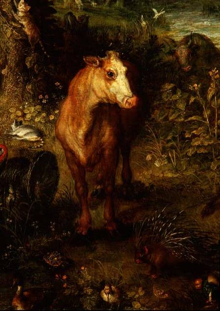 Earth or The Earthly Paradise, detail of a cow, porcupine and other animals à Jan Brueghel l'Ancien