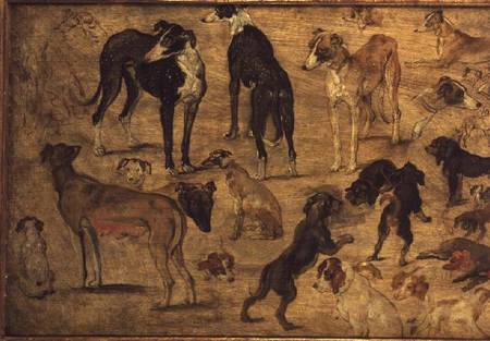 Study of Hounds à Jan Brueghel l'Ancien