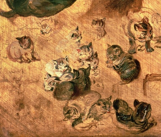 Study of cats, 1616 (detail of 65879) à Jan Brueghel l'Ancien