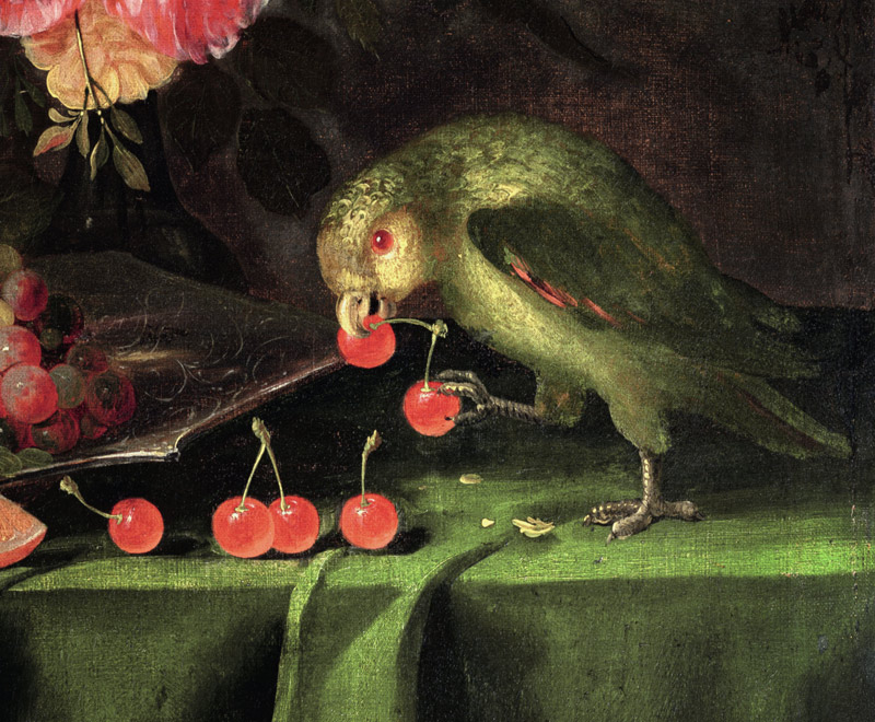 Still Life of Fruit and Flowers, detail of a Parrot à Jan Davidsz de Heem