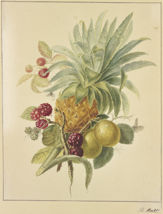 Eine Ananas, Pflaumen und Himbeeren à Jan Evert Morel