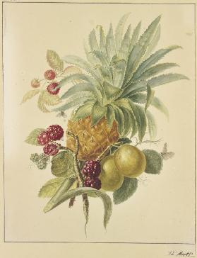 Eine Ananas, Pflaumen und Himbeeren