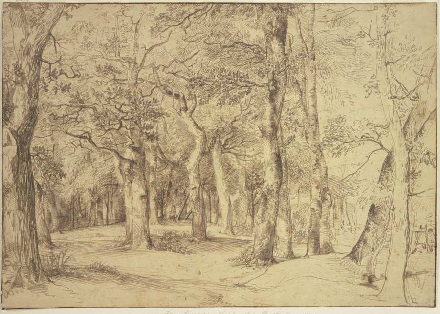 Das Innere eines Waldes, rechts sitzt ein Maler an der Staffelei à Jan Lievens