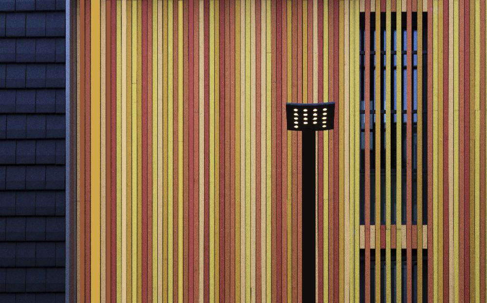 Lines and Colors à Jan Niezen