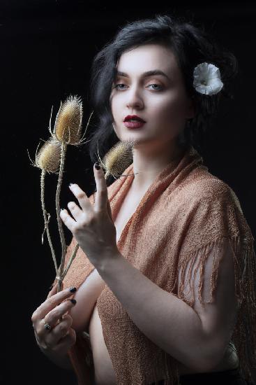 Teasel and Bindweed