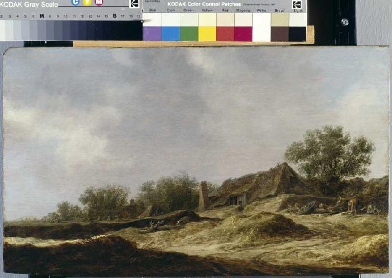 Landschaft mit Bauernhaus à Jan van Goyen