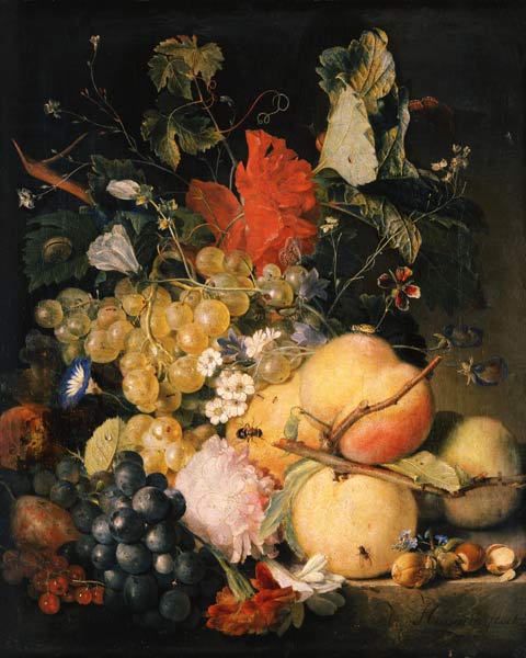 Fruits, Fleurs et insectes à Jan van Huysum