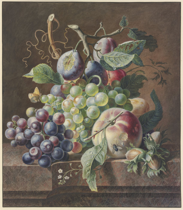 Früchtestück mit Pfirsich, Haselnuss,Trauben und Pflaumen à Jan van Huysum
