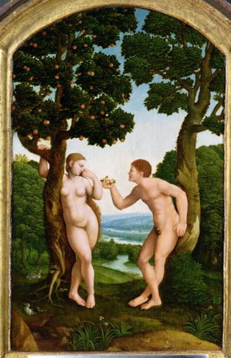 Adam and Eve in Paradise à Jan van Scorel