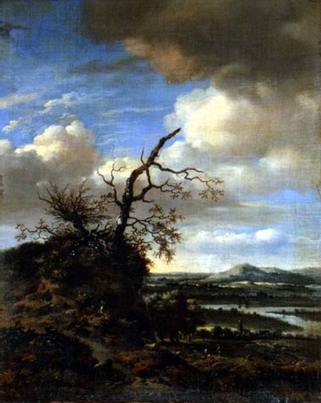 Extensive River Landscape c.1665/1670 à Jan Wynants