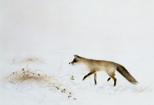 Fox in Snow  à Jane  Neville