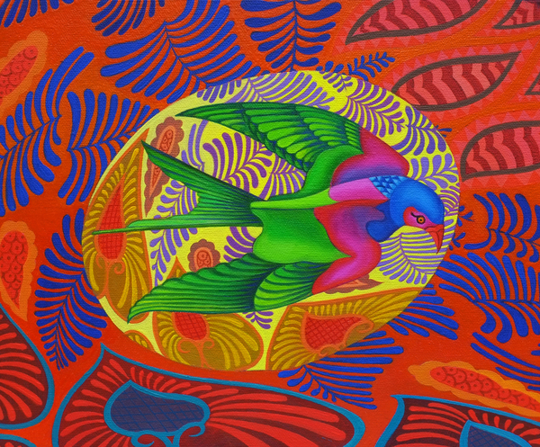 Swallow-tailed kite à Jane Tattersfield