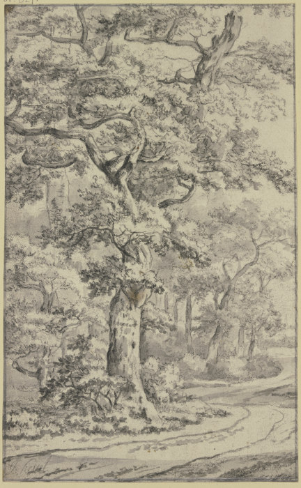 Path next to oak trees à Jan van Kessel