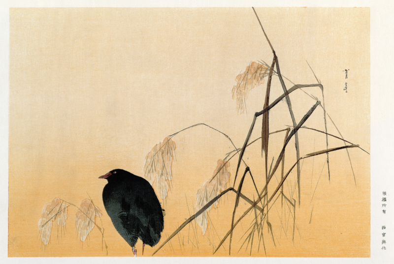 Blackbird, Edo Period (silk scroll) à École japonaise