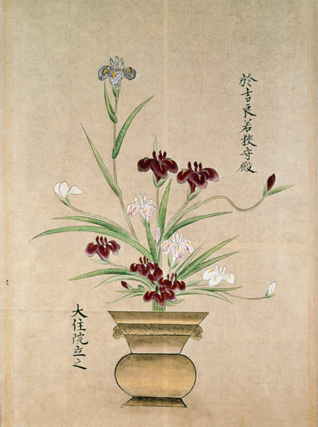 Orchidées  à École japonaise