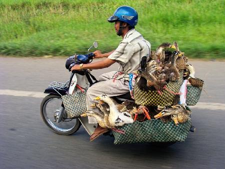 25 on a motorbike