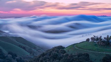 Fog Wave