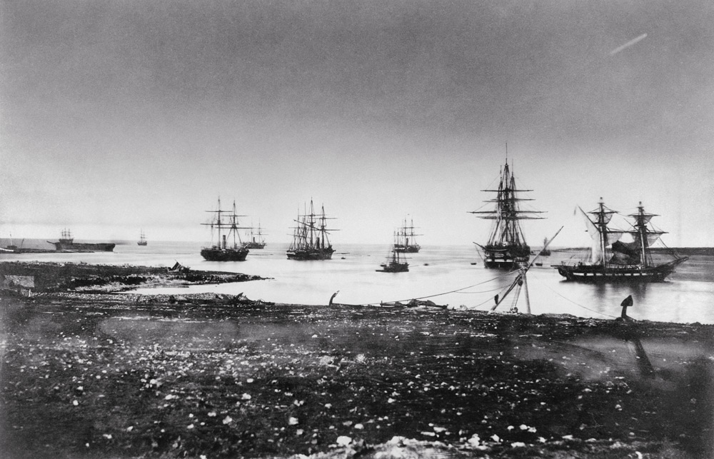Crimean war, French squadron, entry into the port, 1855 (b/w photo)  à Jean Baptiste Henri Durand-Brager