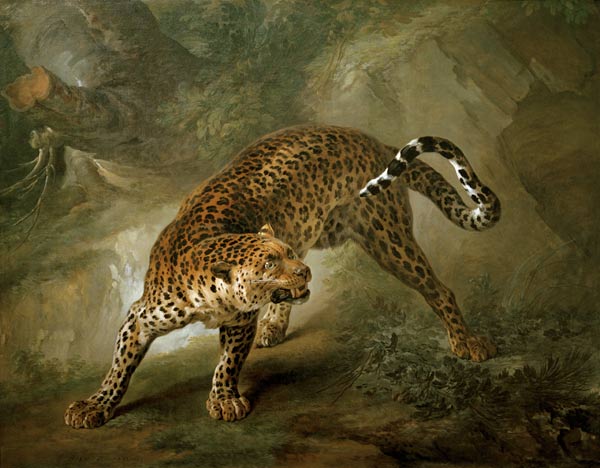 léopard à Jean Baptiste Oudry