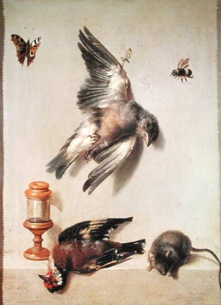 Still Life of Dead Birds and a Mouse à Jean Baptiste Oudry