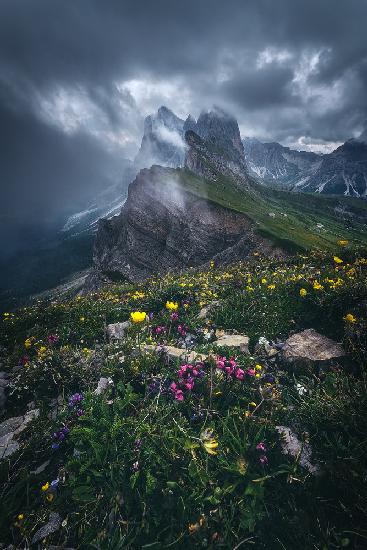 Dolomites - Seceda 2500